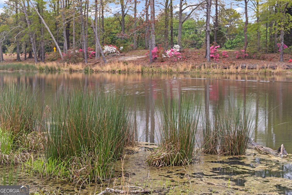 1844 Copelyn Reese Court Lawrenceville - 46