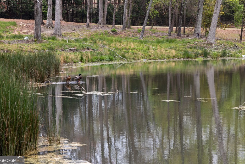 1844 Copelyn Reese Court Lawrenceville - 48