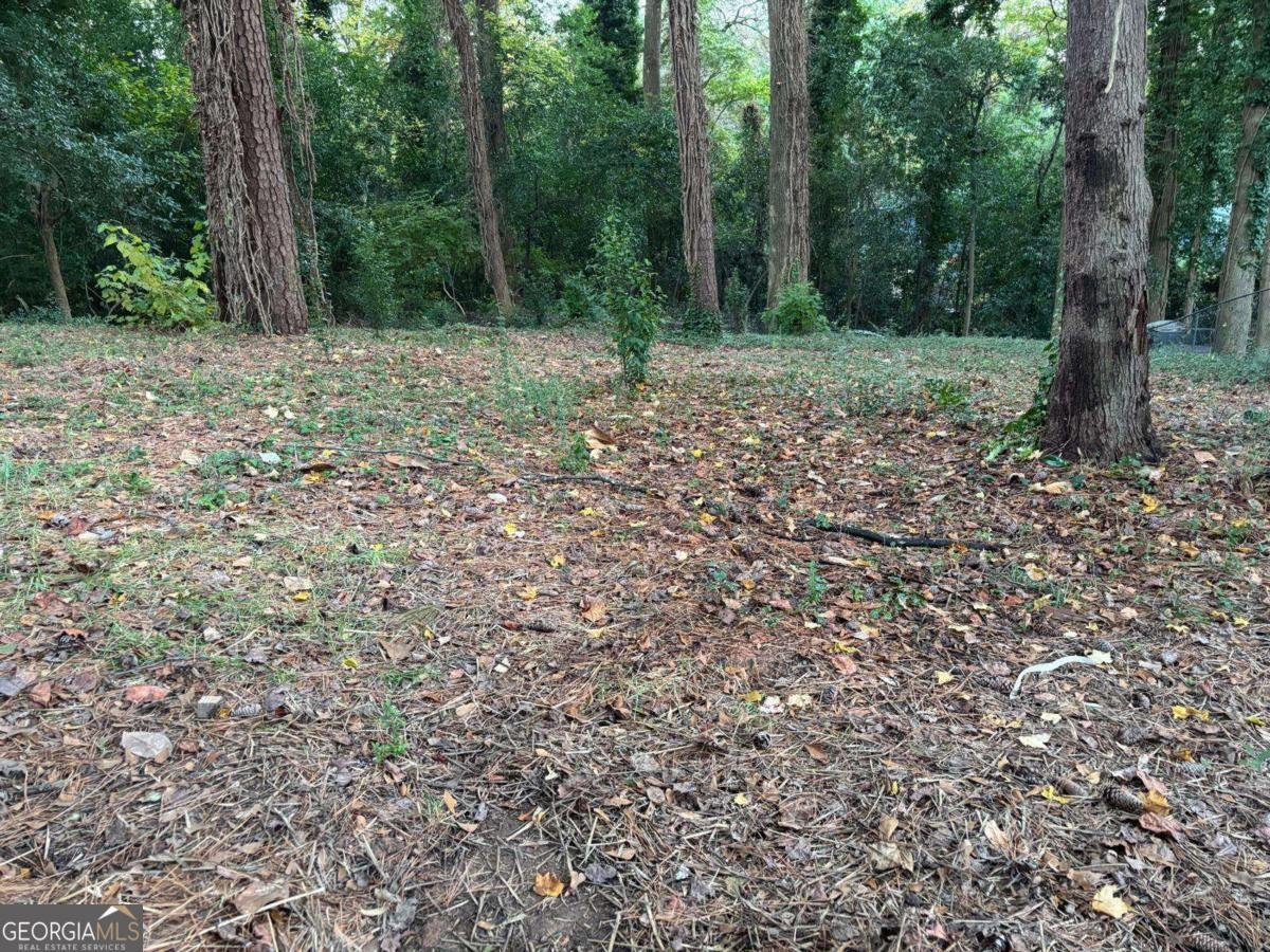 2485 Ortega Way Chamblee - 24