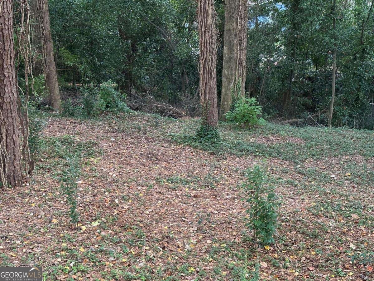 2485 Ortega Way Chamblee - 25