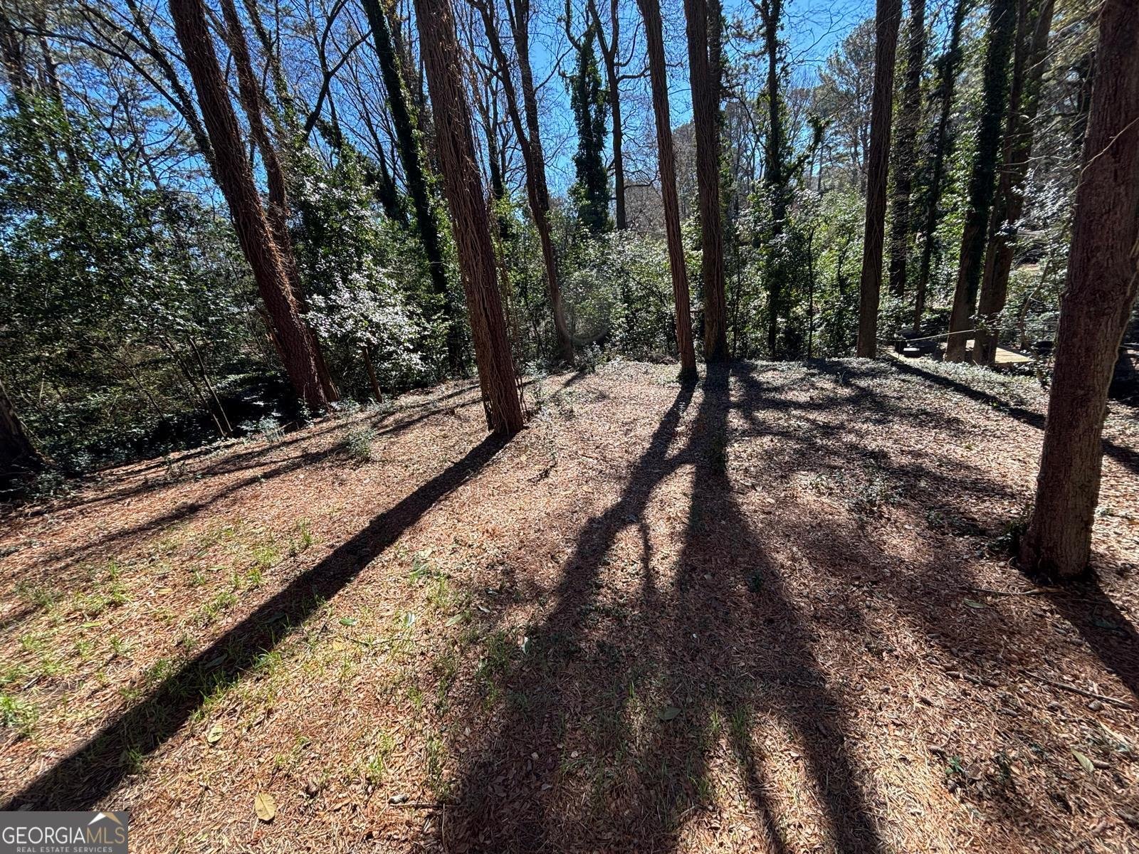 2485 Ortega Way Chamblee - Photo 37