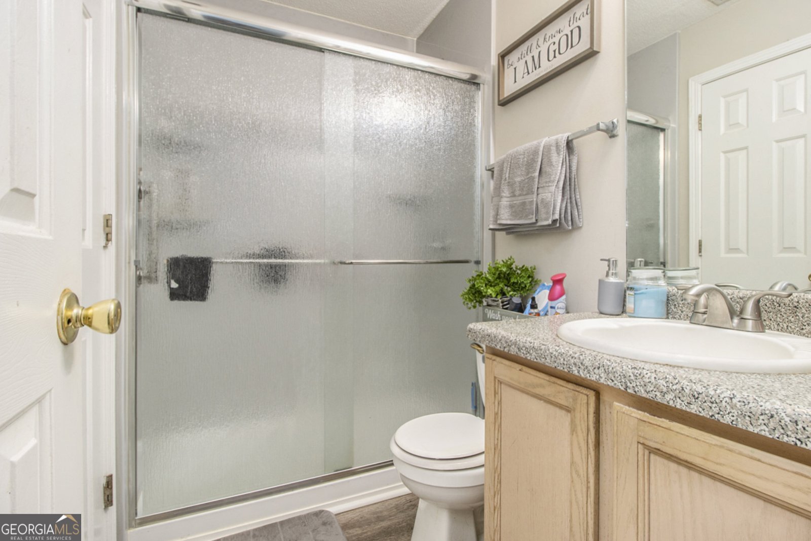 5362 Salem Springs Drive Lithonia - 16