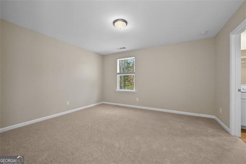 73 OSPREY OVERLOOK Braselton - 19