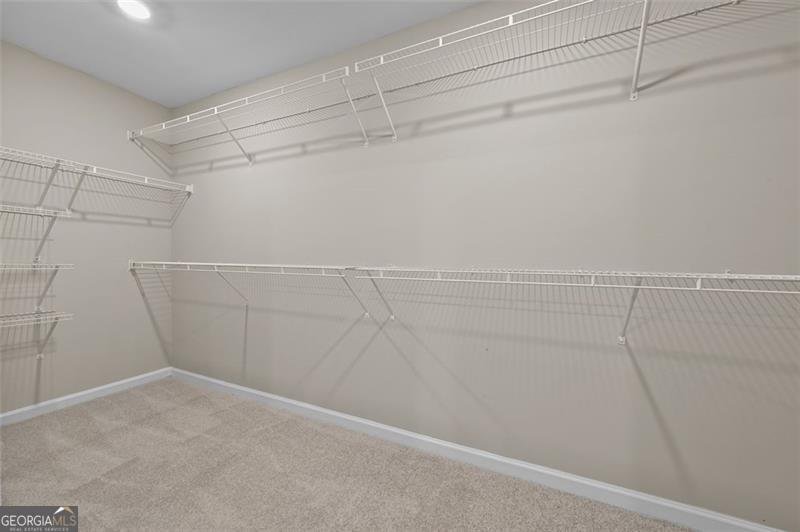 73 OSPREY OVERLOOK Braselton - 22