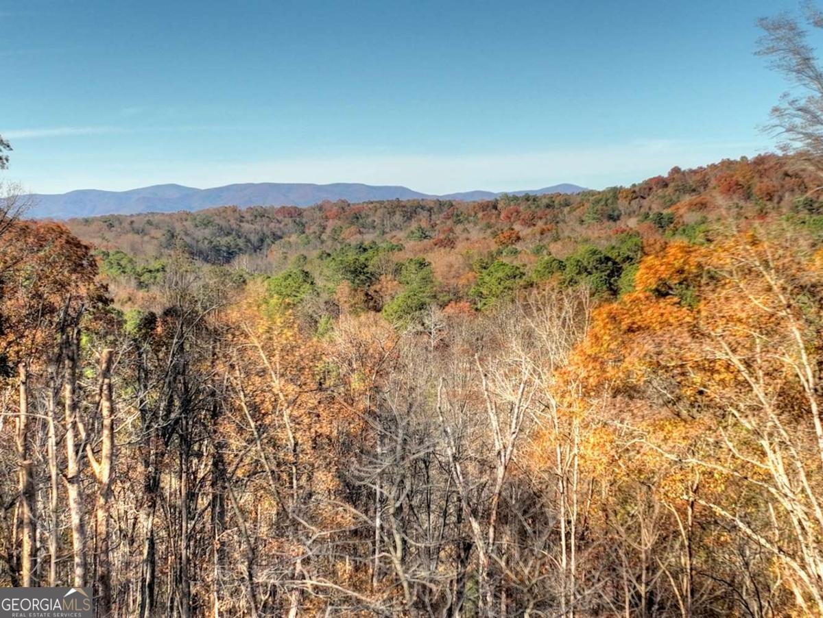 21 Crown Court Ellijay - 18