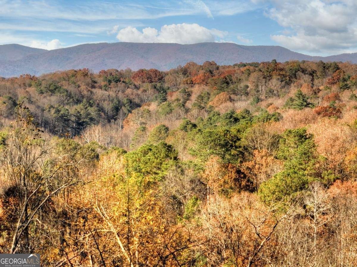 21 Crown Court Ellijay - 19