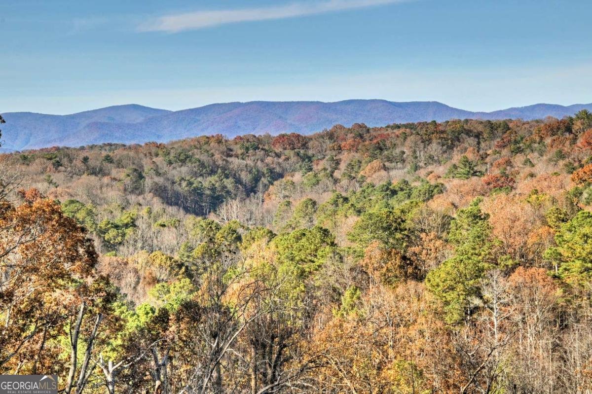 21 Crown Court Ellijay - 49