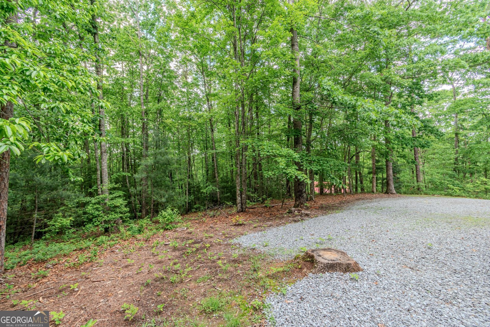 48 Timber Ridge Road Blue Ridge - 57