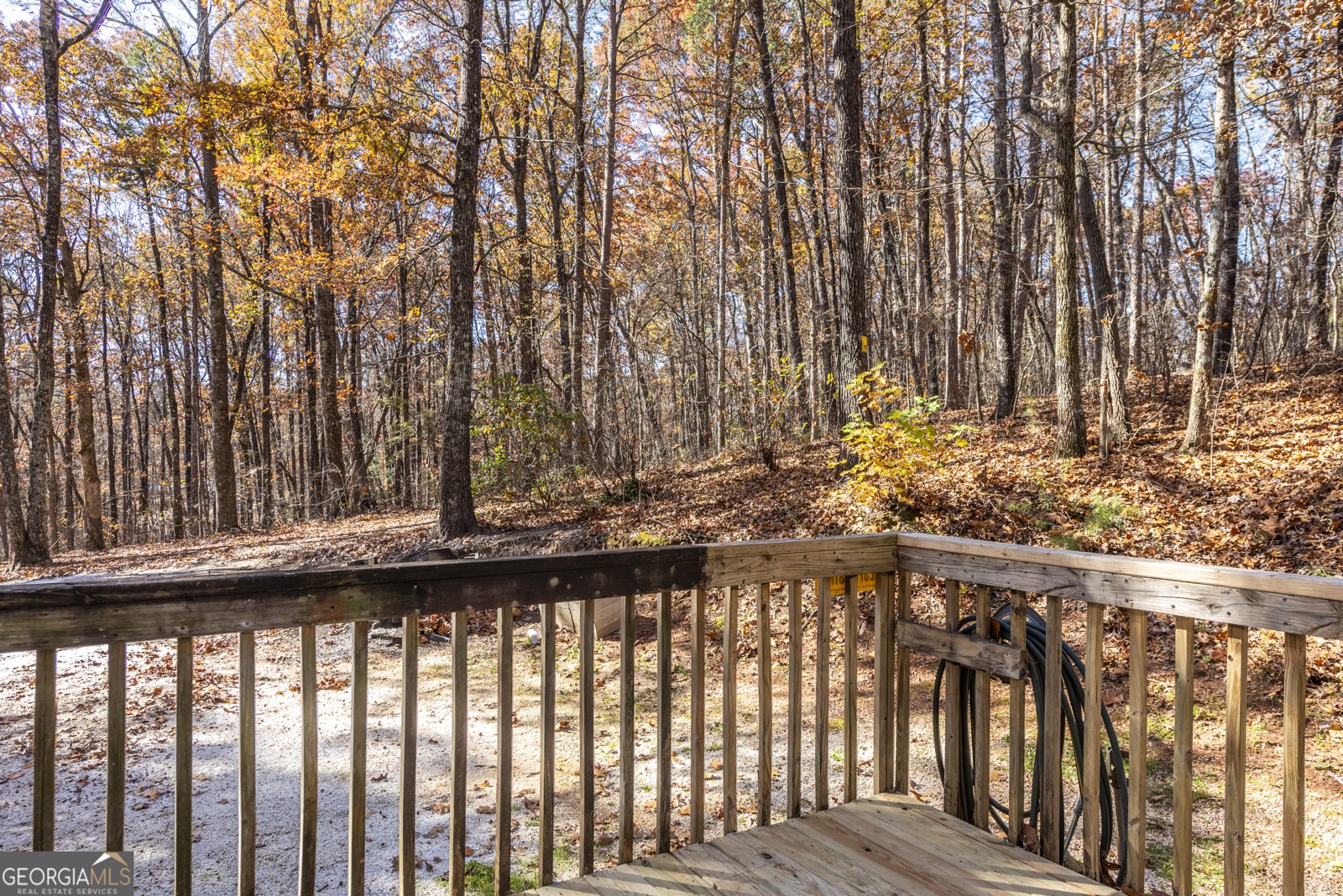 56 Deer Trail Dawsonville - 3