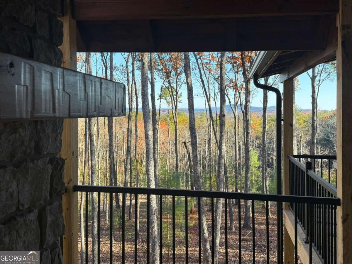 TRACT 1 Big Oak Lane Blue Ridge - 2