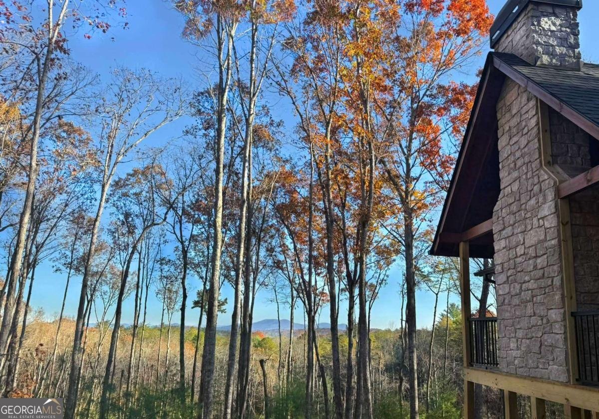 TRACT 1 Big Oak Lane Blue Ridge - 3