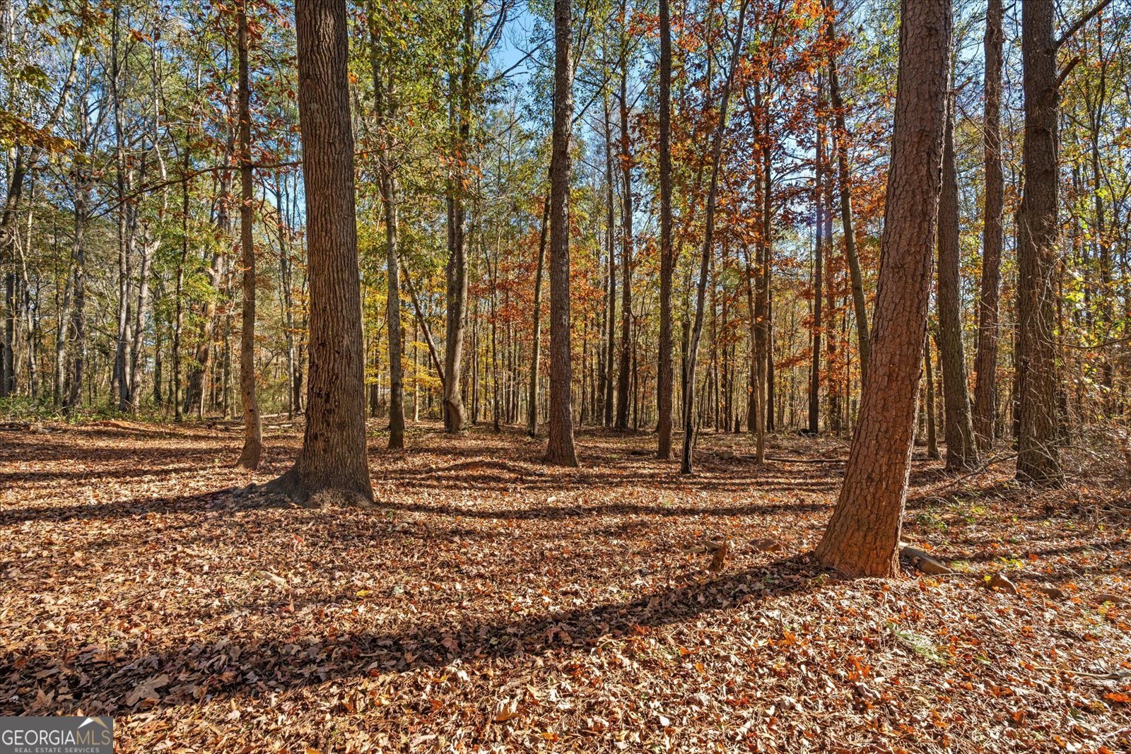 1921 Star Point Road Carrollton - 39