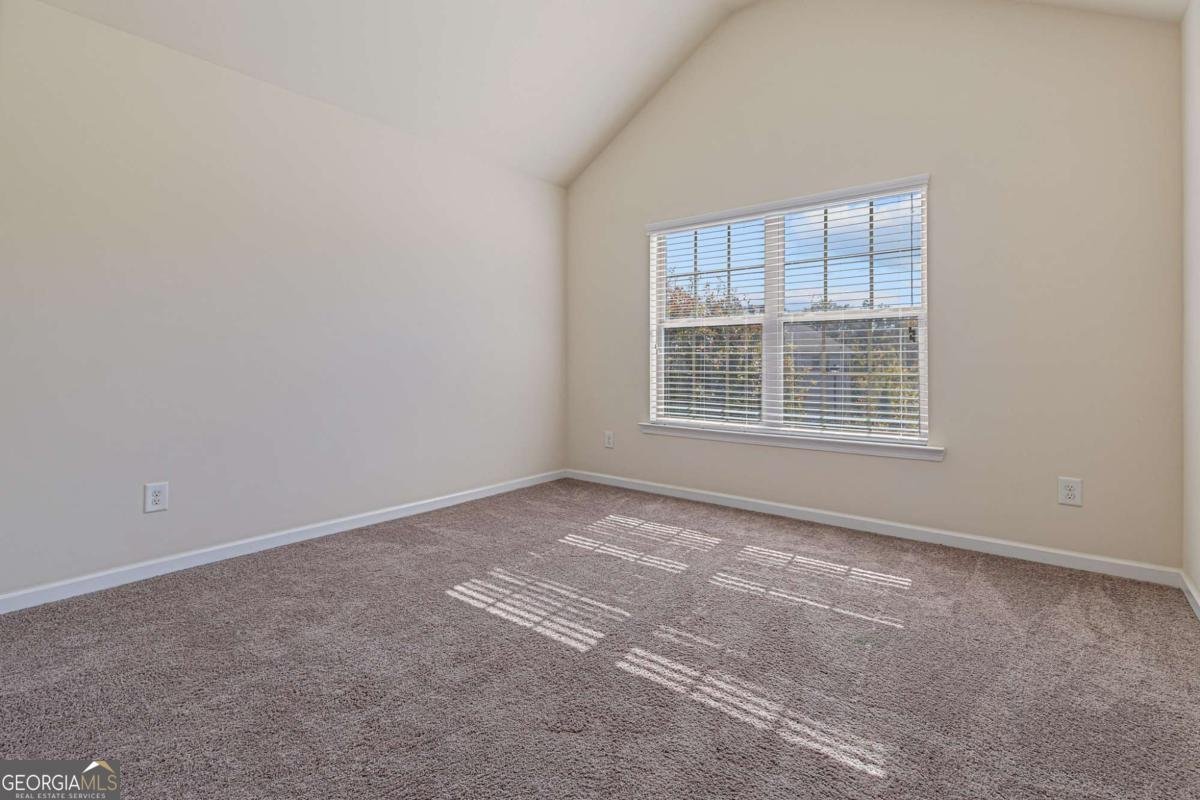 793 Sienna Valley Drive Braselton - 35