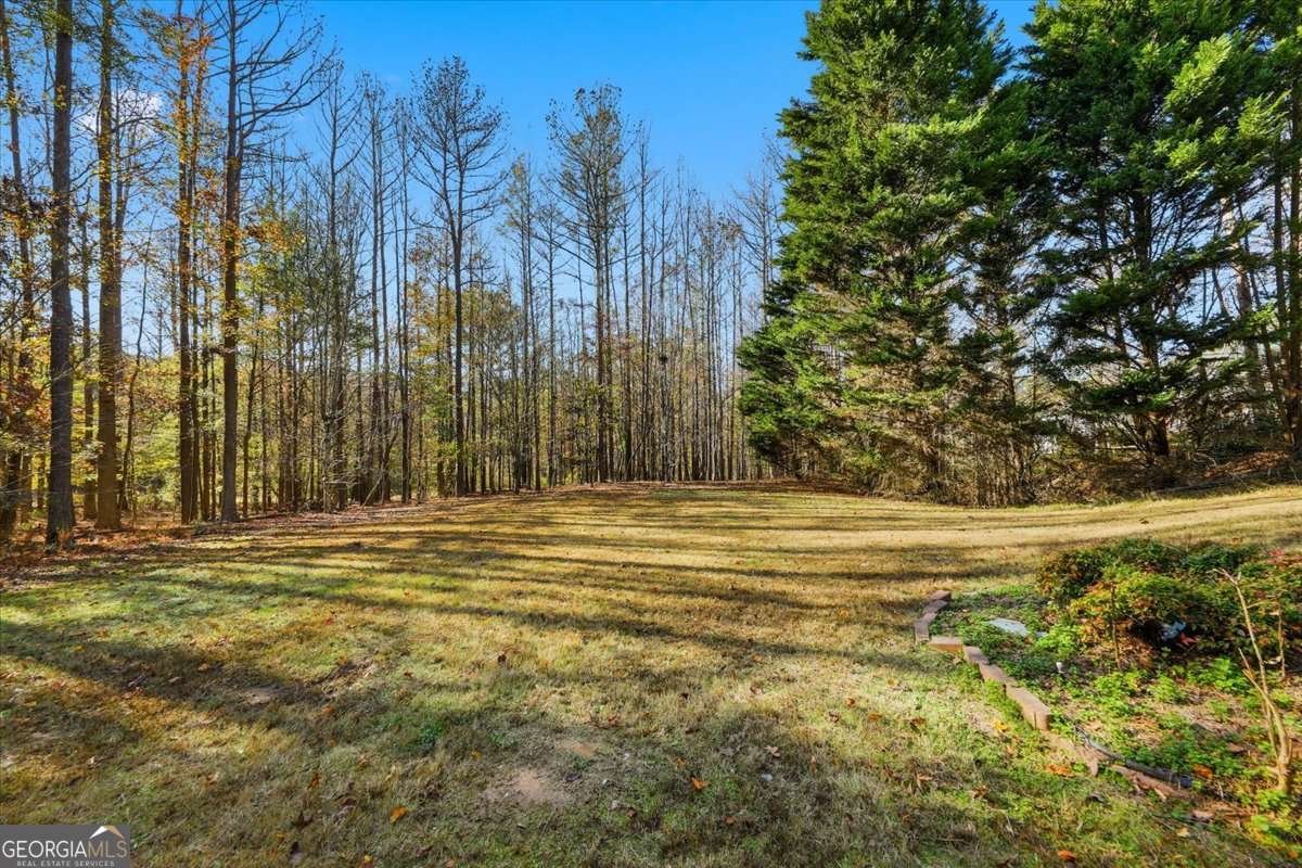 115 Primrose Pass Newnan - 64