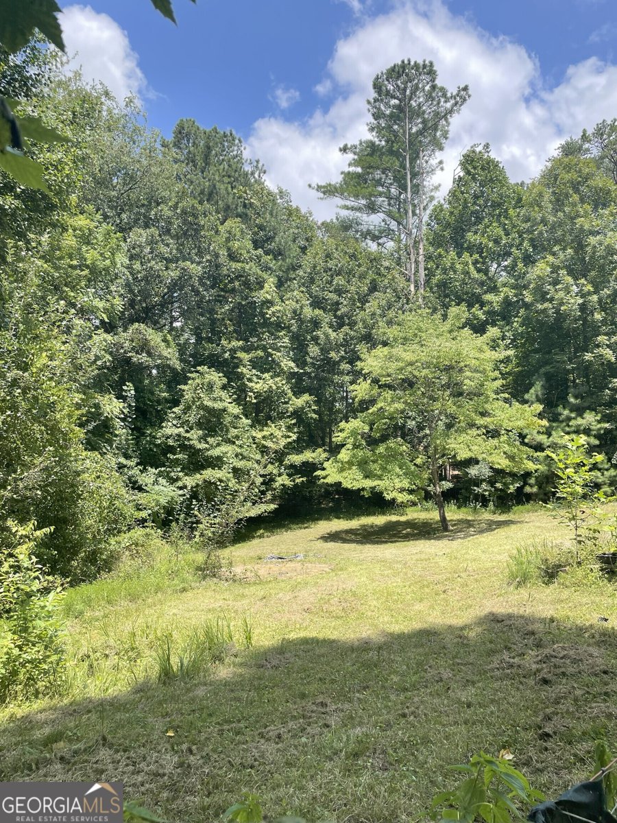 65 Black Oak Ridge Road Blue Ridge - 31