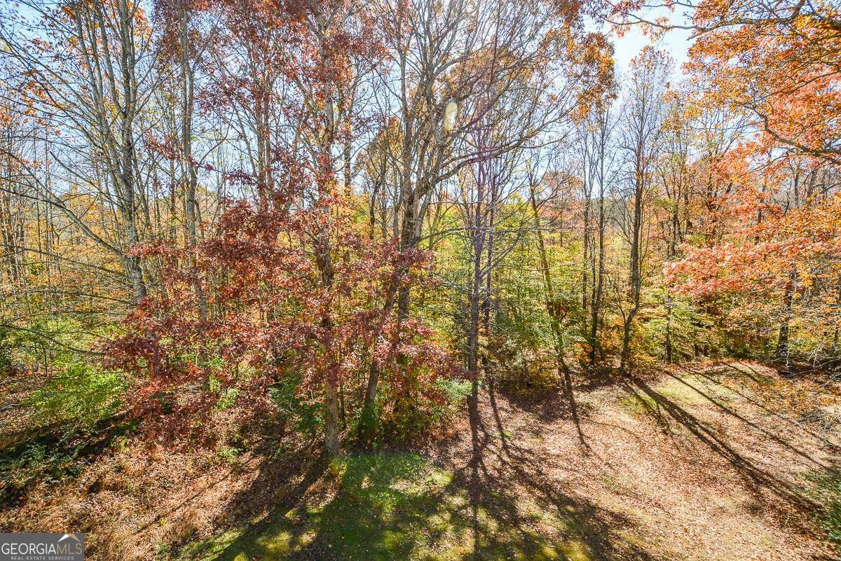 234 Arbor Hills Road Talking Rock - 13