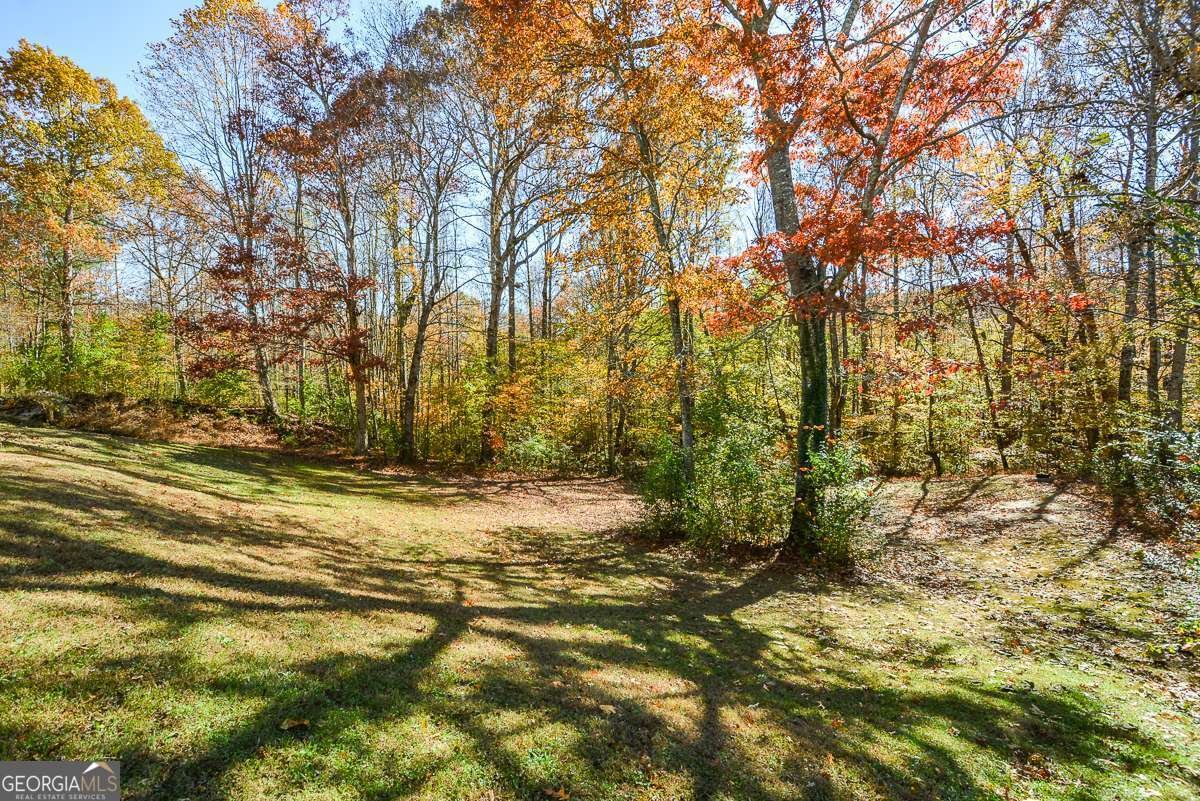 234 Arbor Hills Road Talking Rock - 9