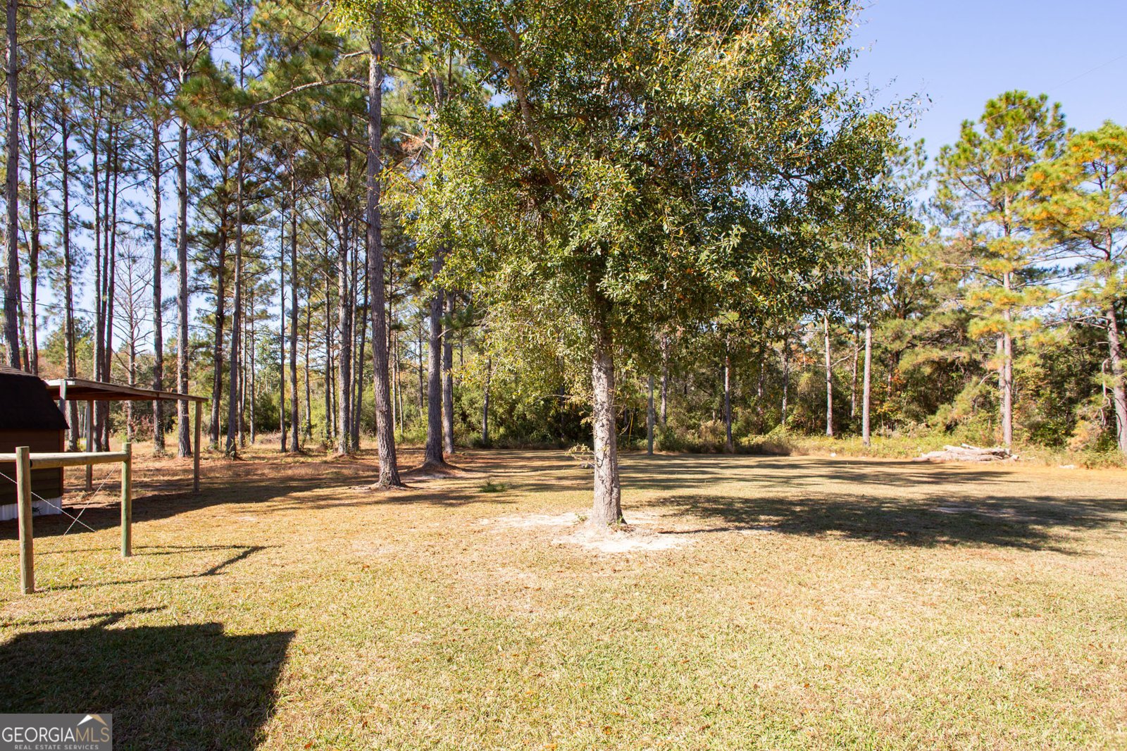 5627 Yellow Bluff Road Blackshear - 4