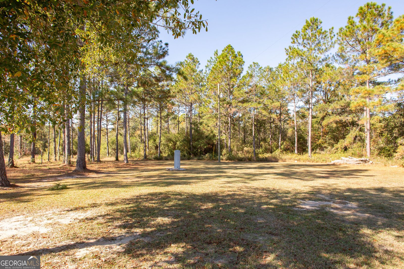 5627 Yellow Bluff Road Blackshear - 6