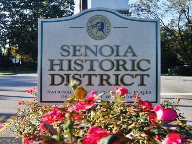 480 Werner Way Senoia - 13