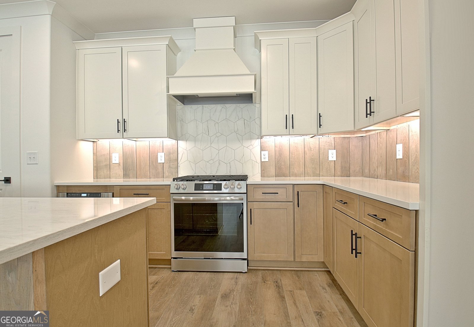 480 Werner Way Senoia - 36