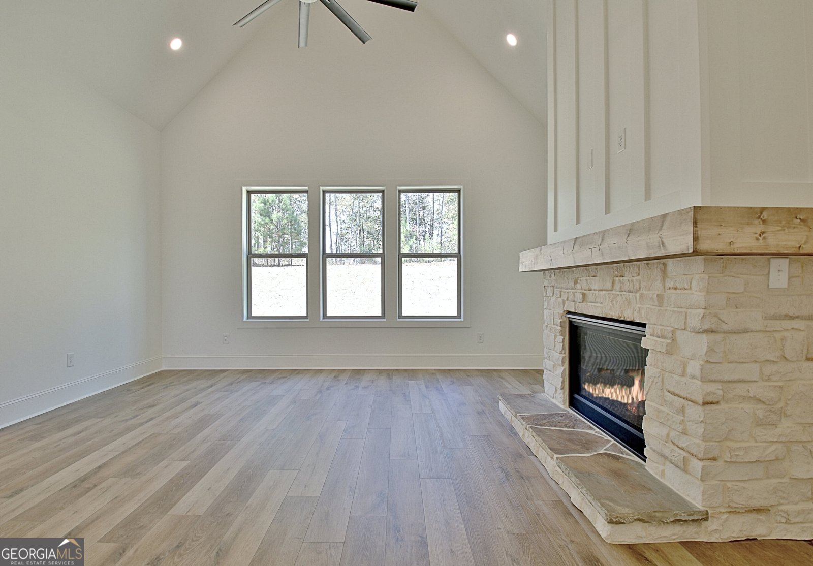 480 Werner Way Senoia - 39