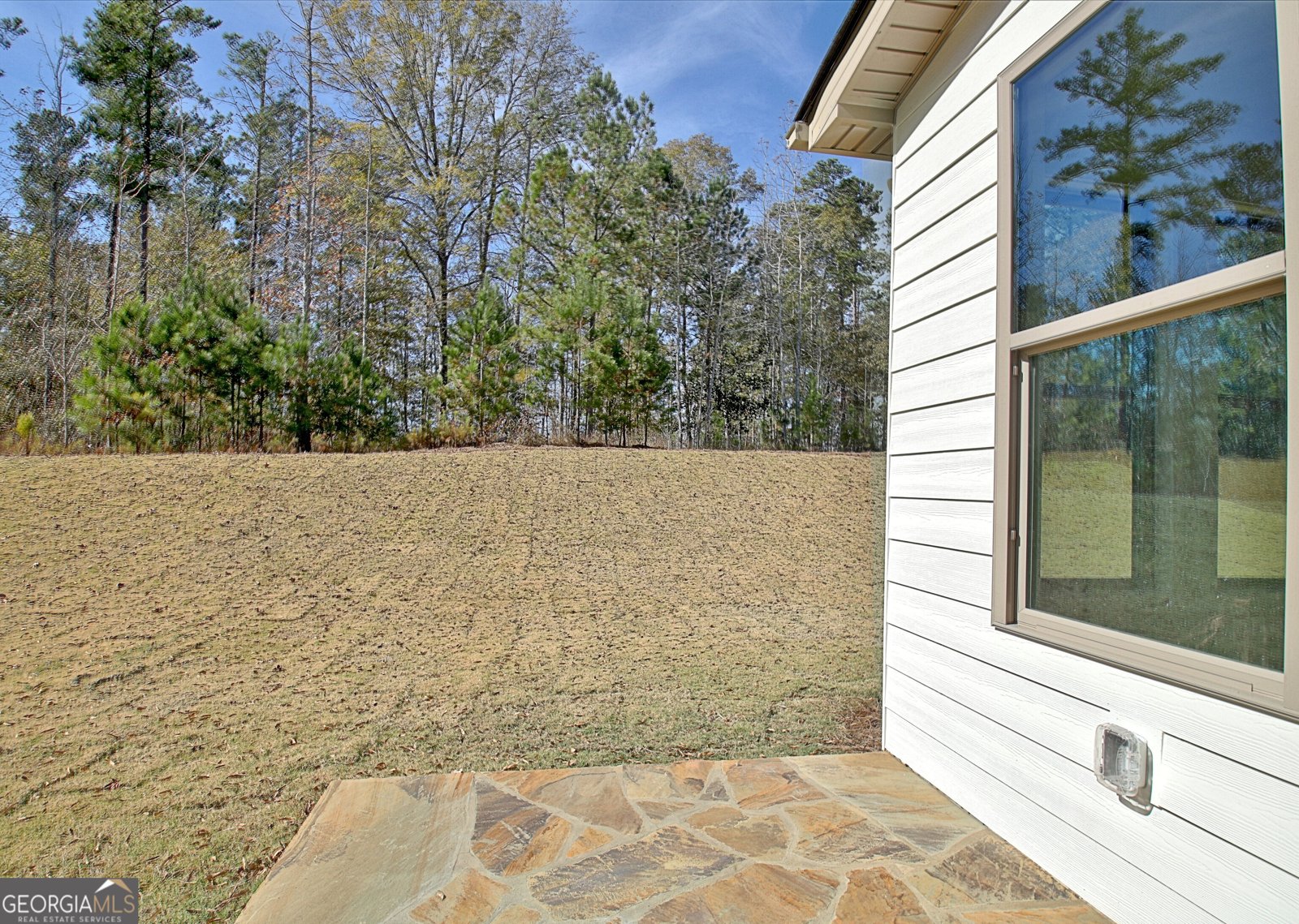 480 Werner Way Senoia - 68