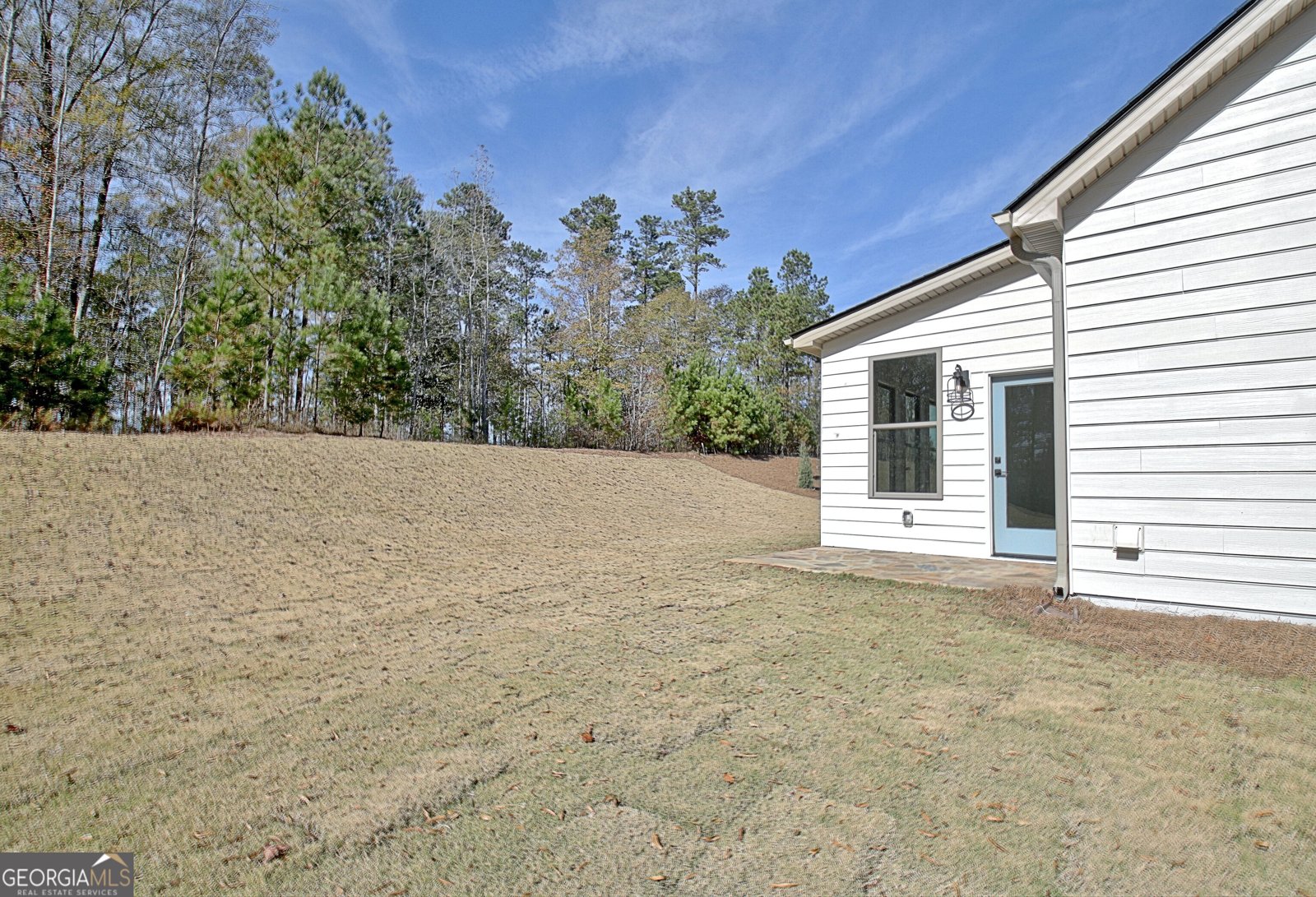 480 Werner Way Senoia - 69