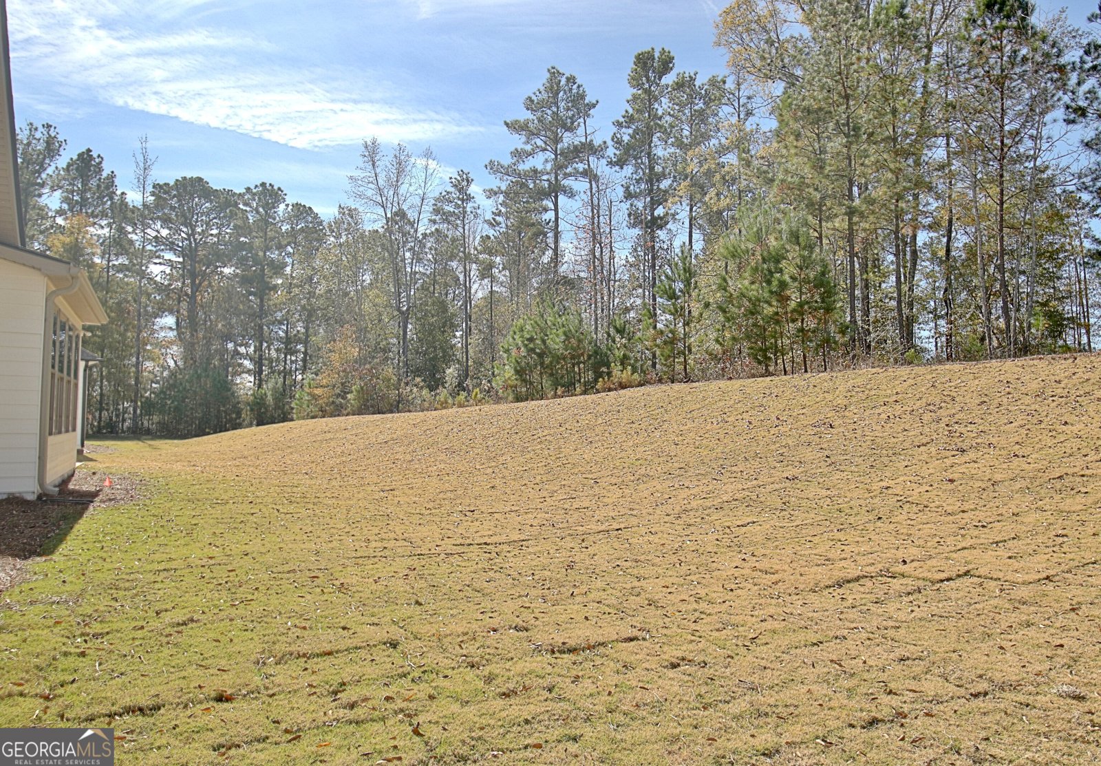 480 Werner Way Senoia - 72