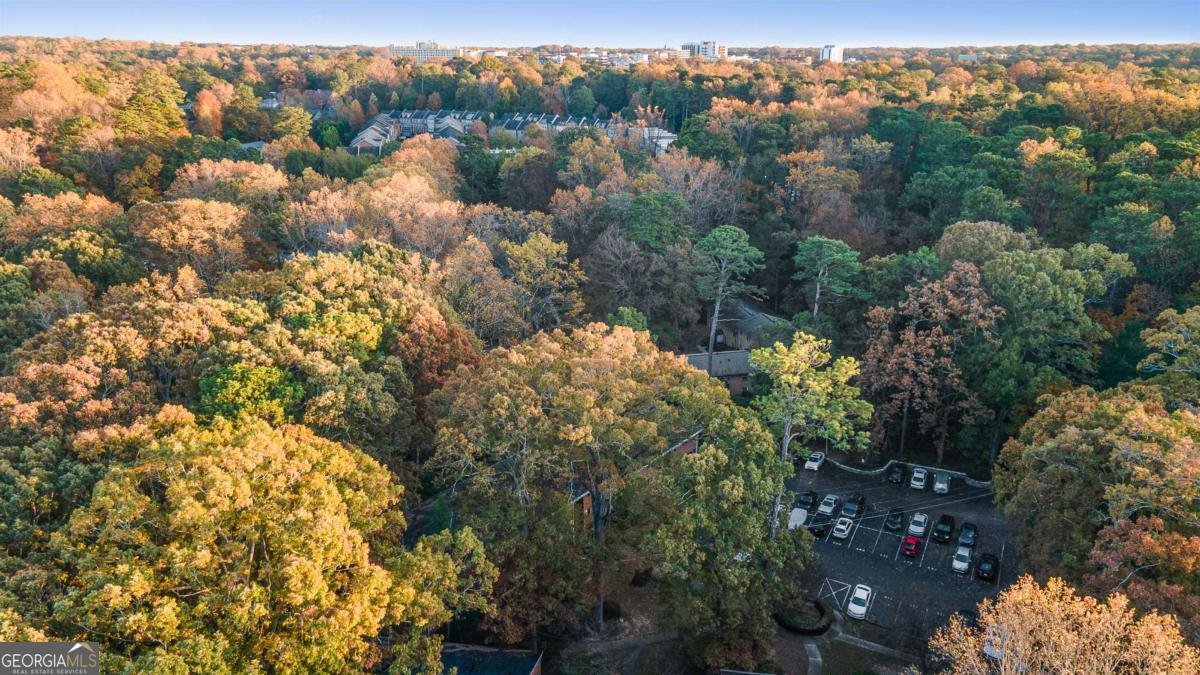 1111 Clairemont Avenue Decatur - 28