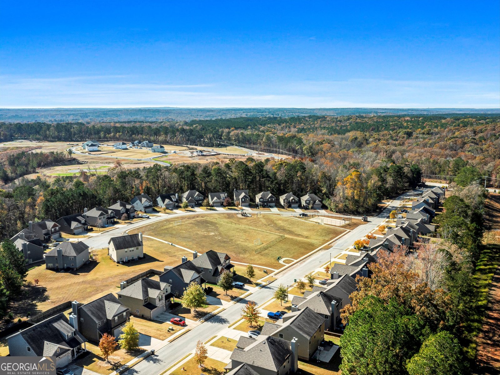 1124 Hartwell Road Locust Grove - 39