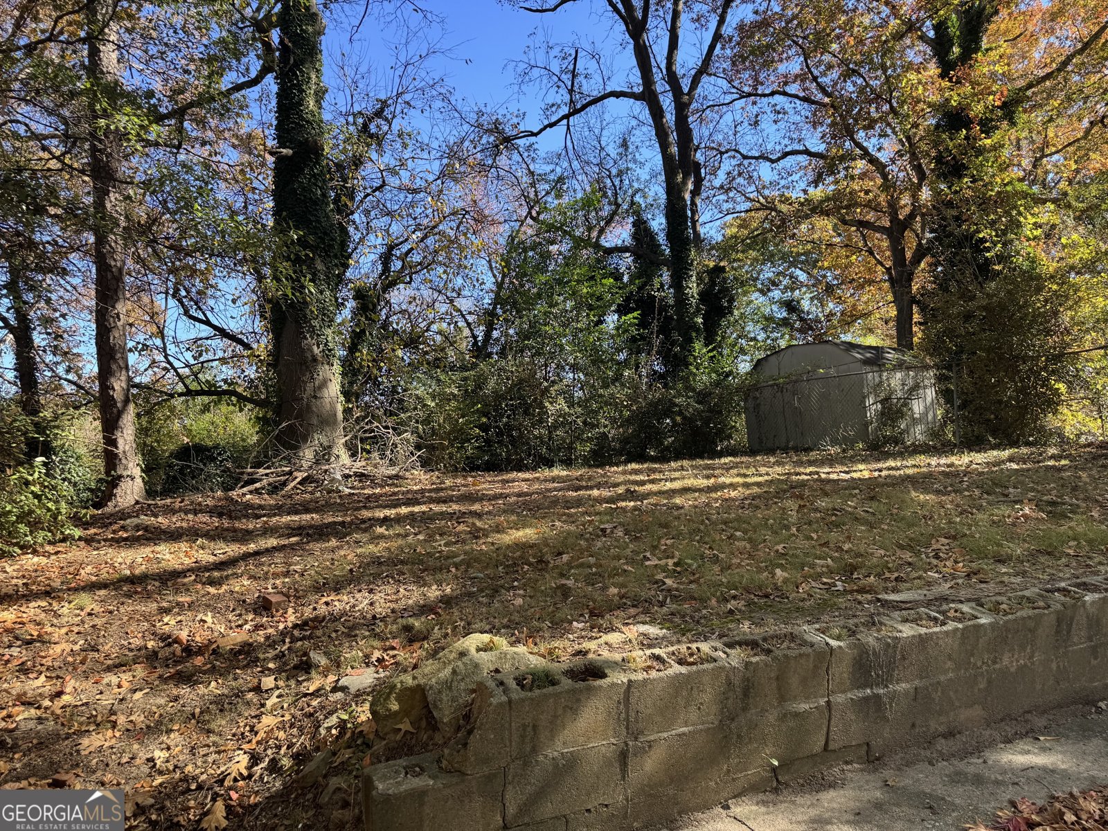 1585 Ezra Church Drive Atlanta - 3