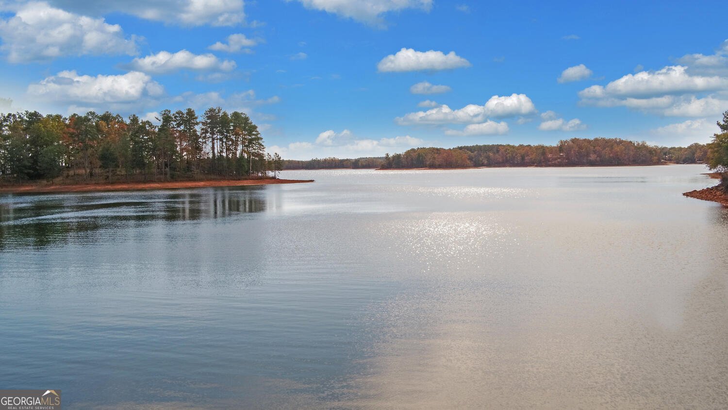 209 Snowbird Lane Hartwell - 67