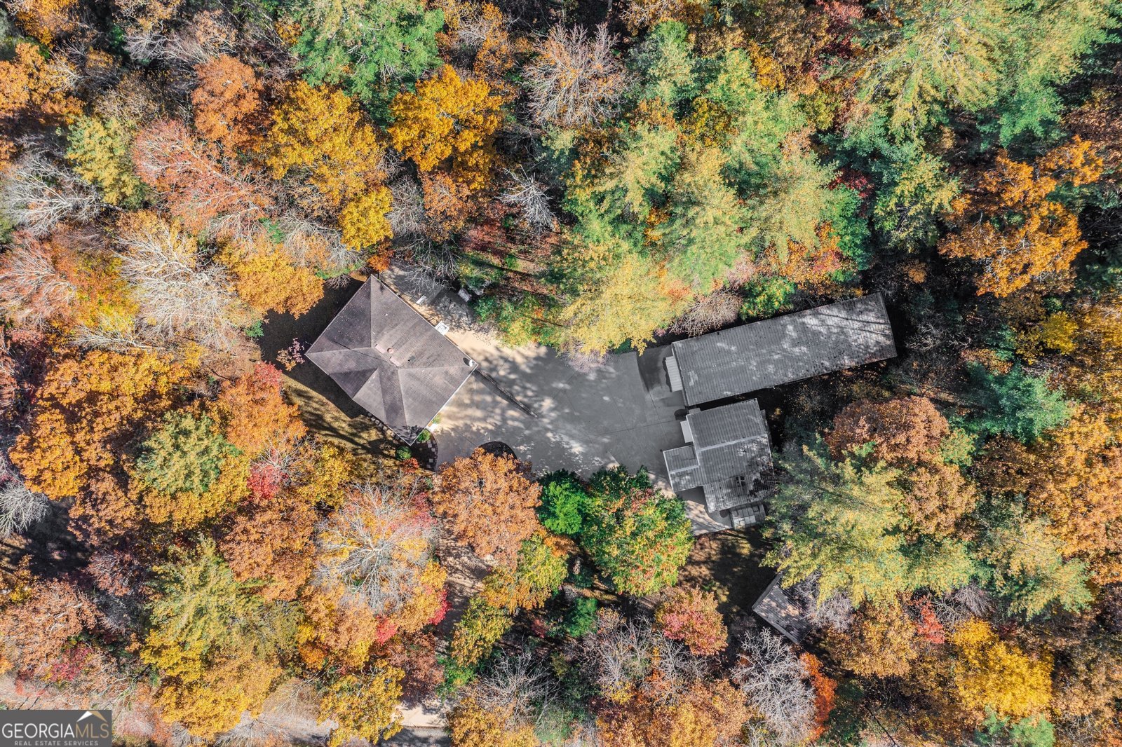 339 Wehunt Road Blue Ridge - 17