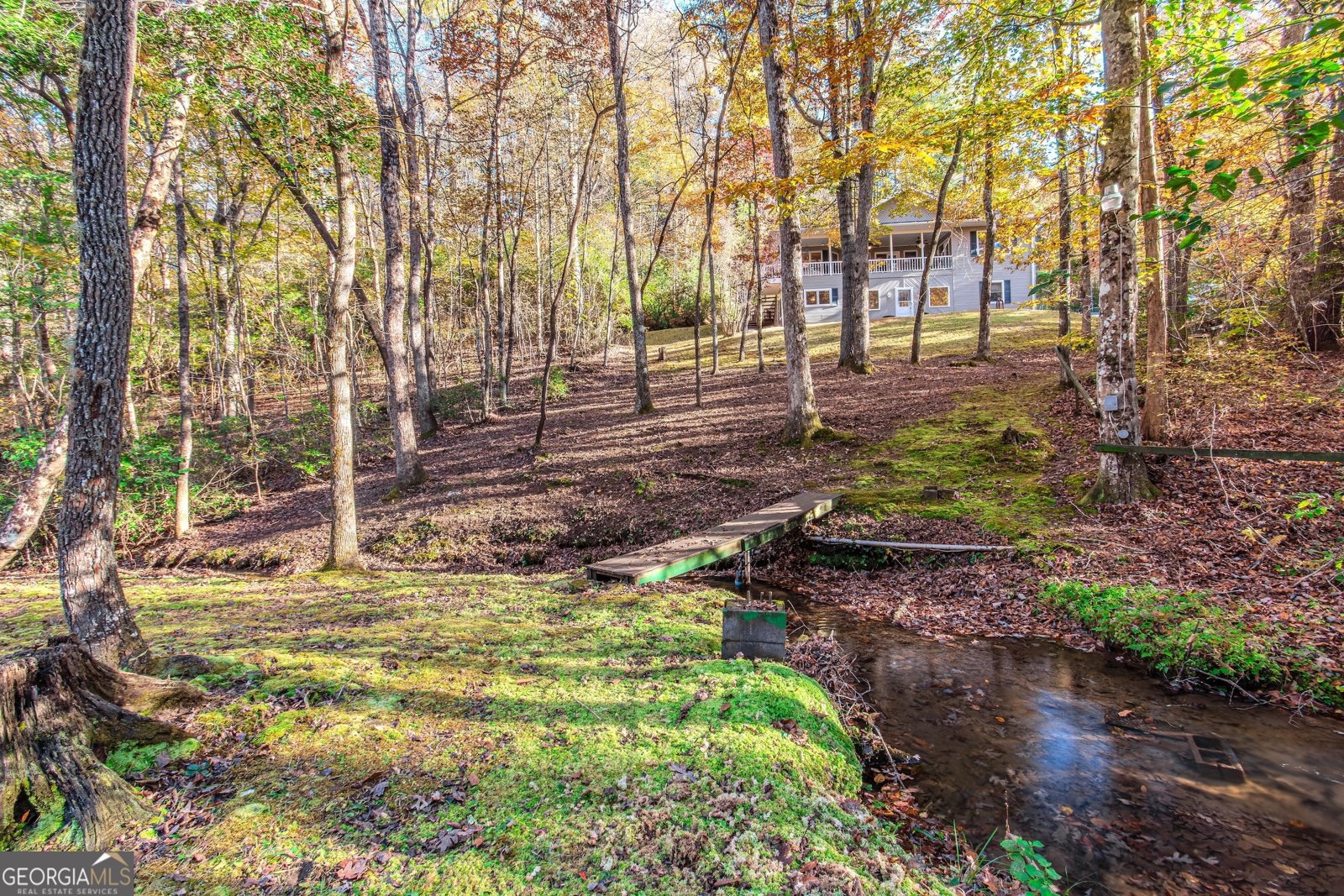 339 Wehunt Road Blue Ridge - 51