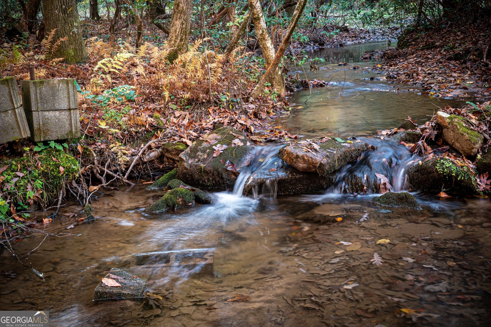 339 Wehunt Road Blue Ridge - 52