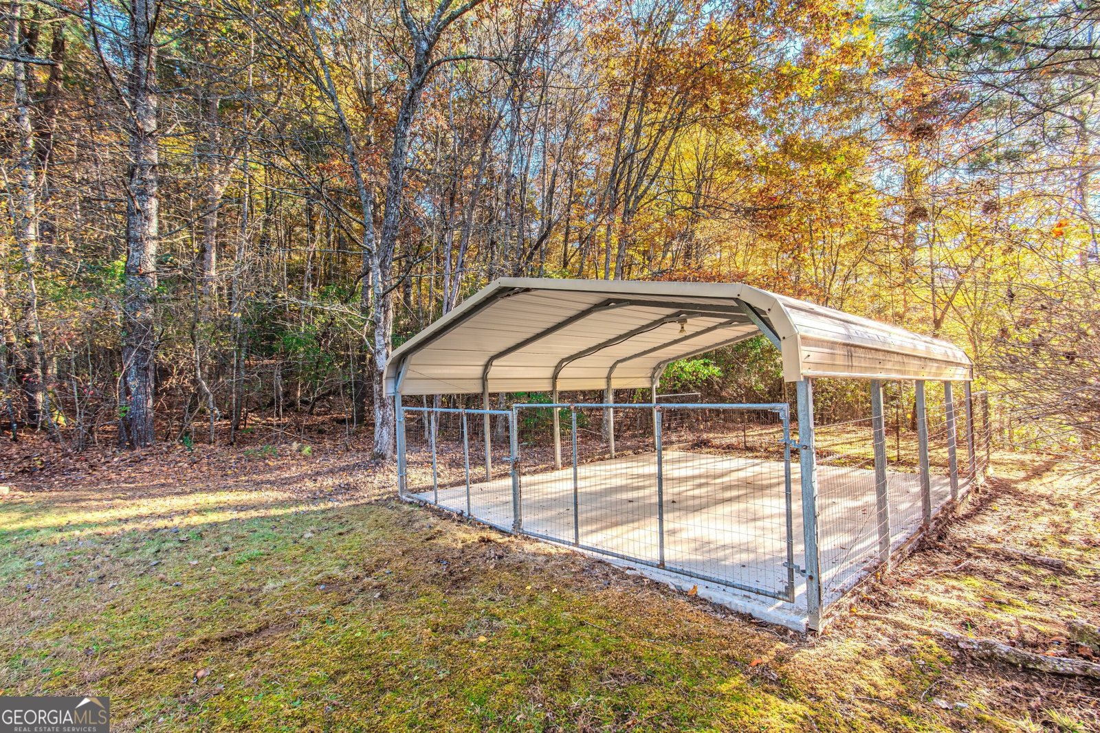 339 Wehunt Road Blue Ridge - 57