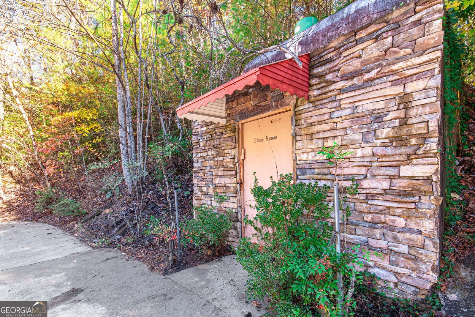 339 Wehunt Road Blue Ridge - 60