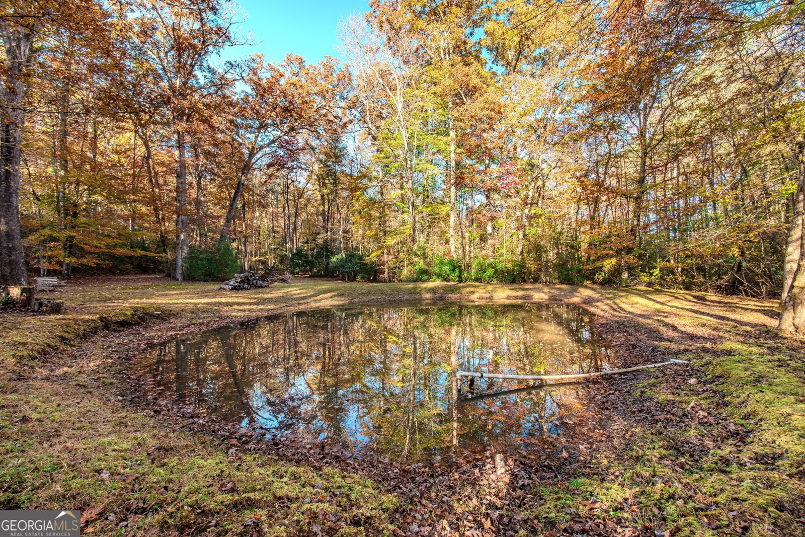 339 Wehunt Road Blue Ridge - 64