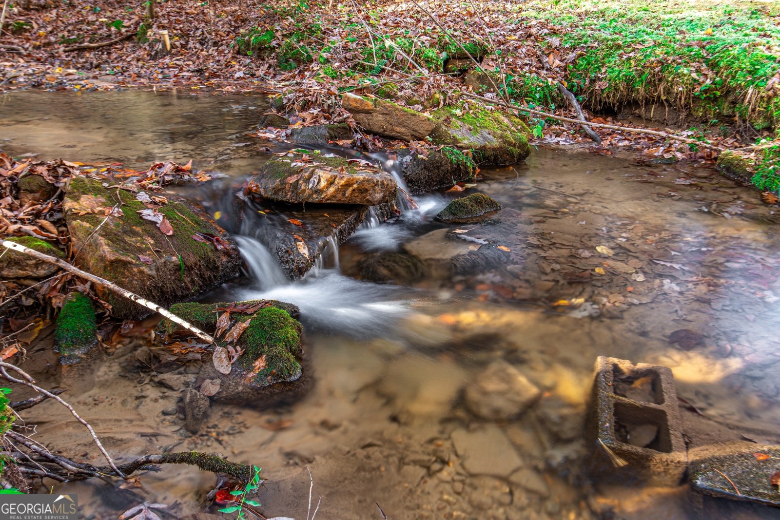 339 Wehunt Road Blue Ridge - 65