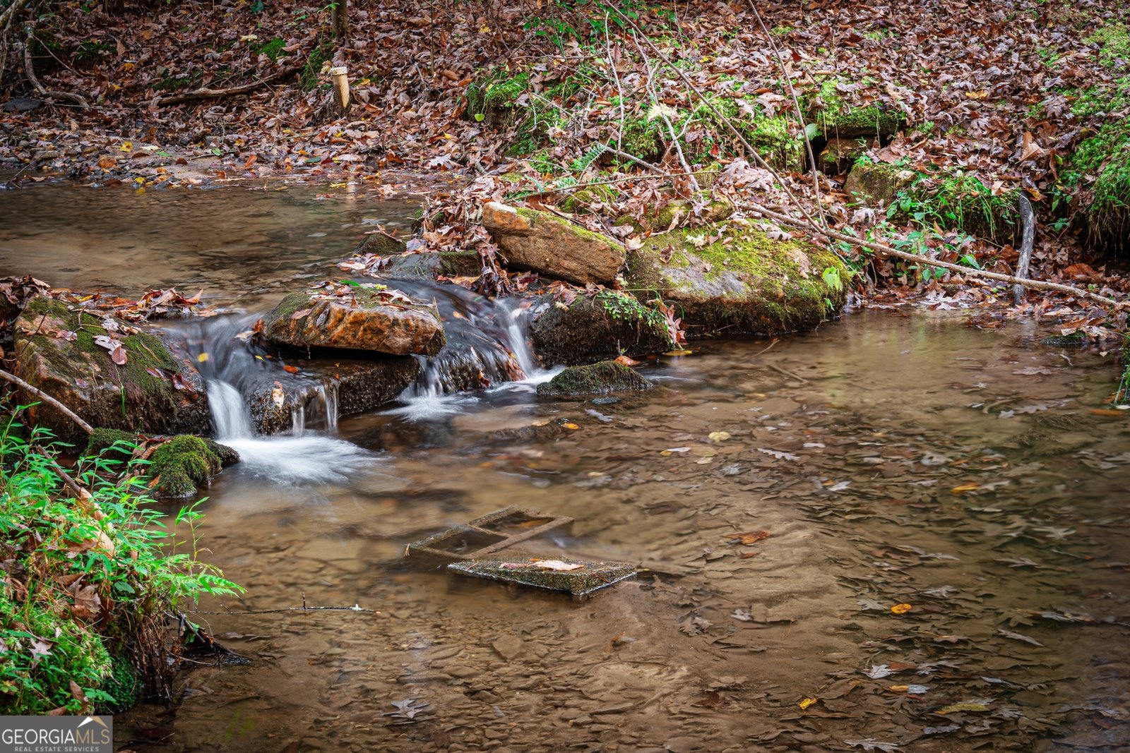 339 Wehunt Road Blue Ridge - 66