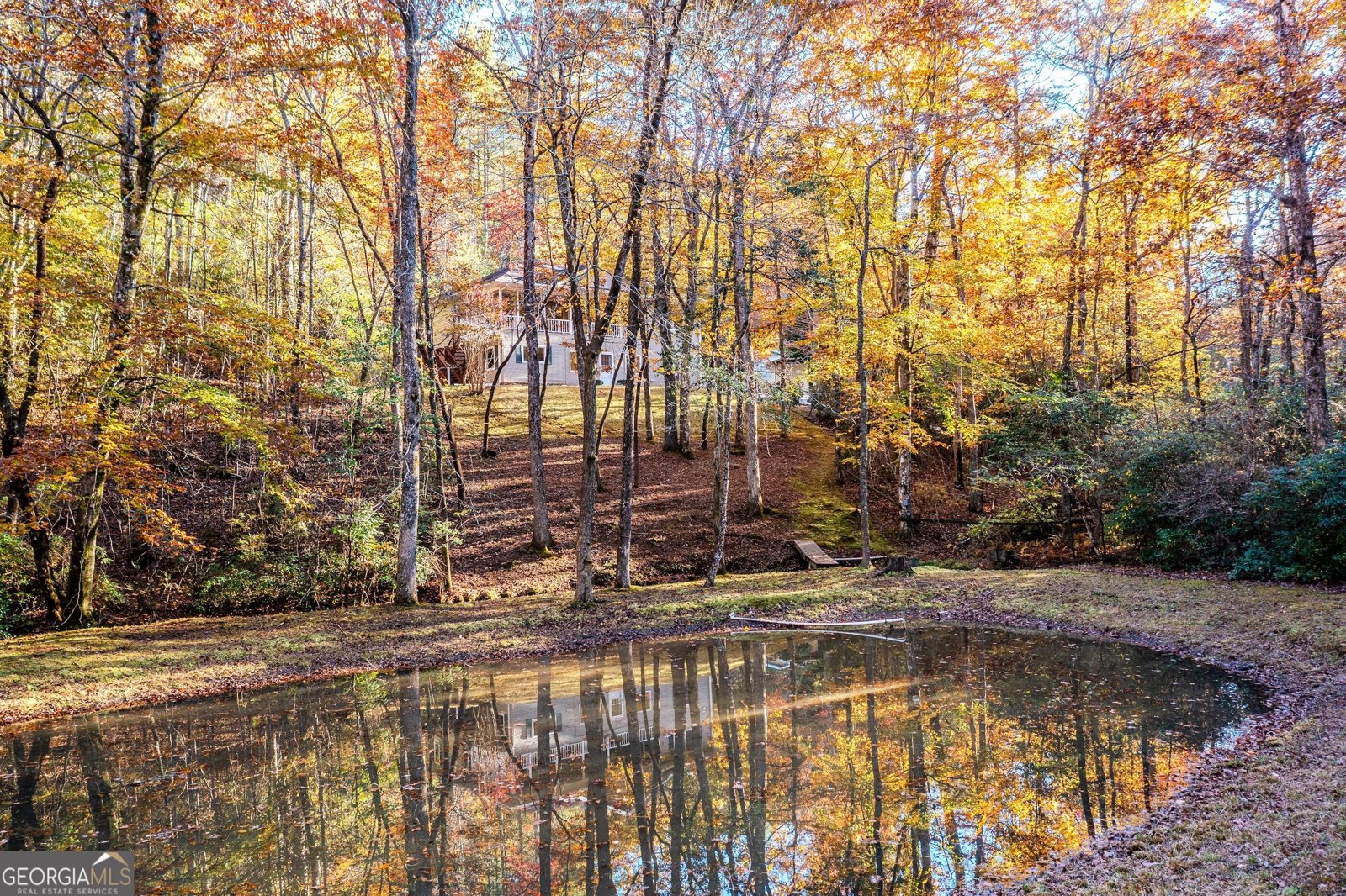 339 Wehunt Road Blue Ridge - 68