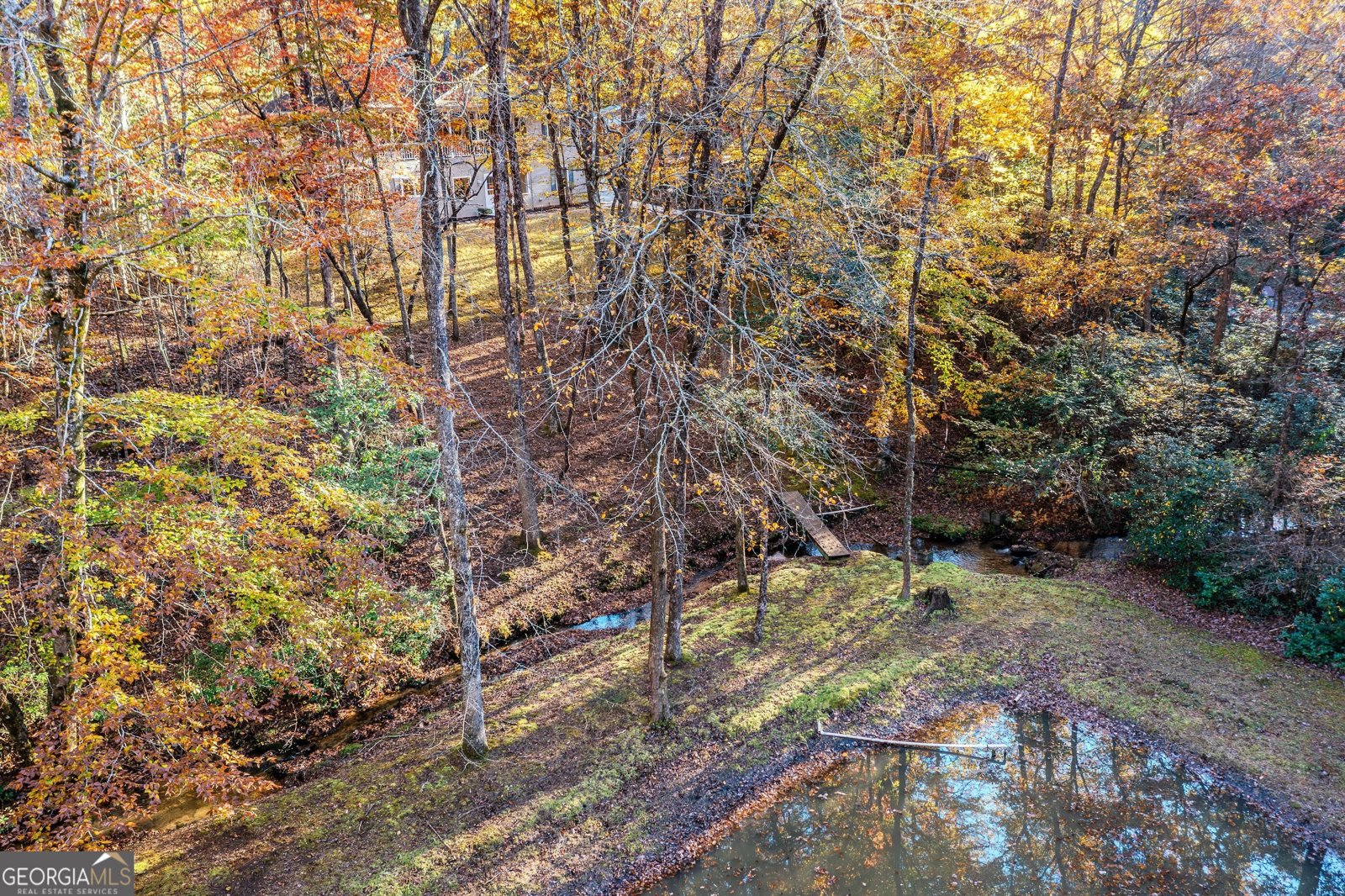 339 Wehunt Road Blue Ridge - 69