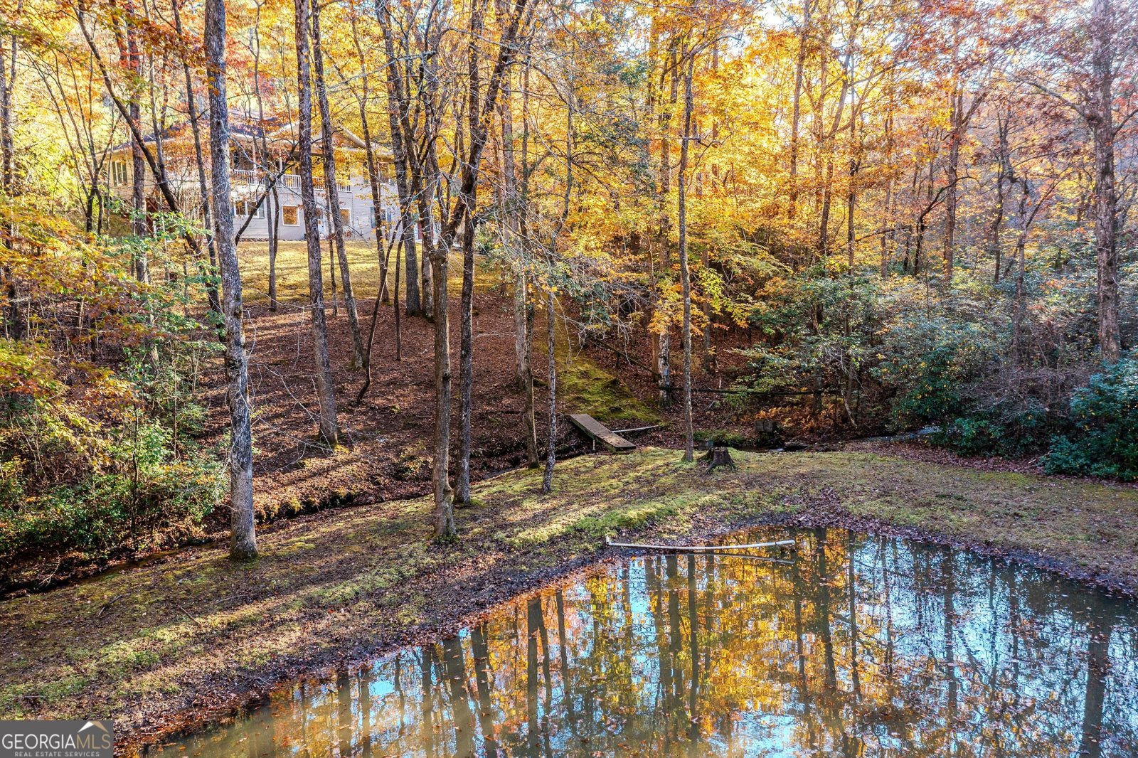 339 Wehunt Road Blue Ridge - 7