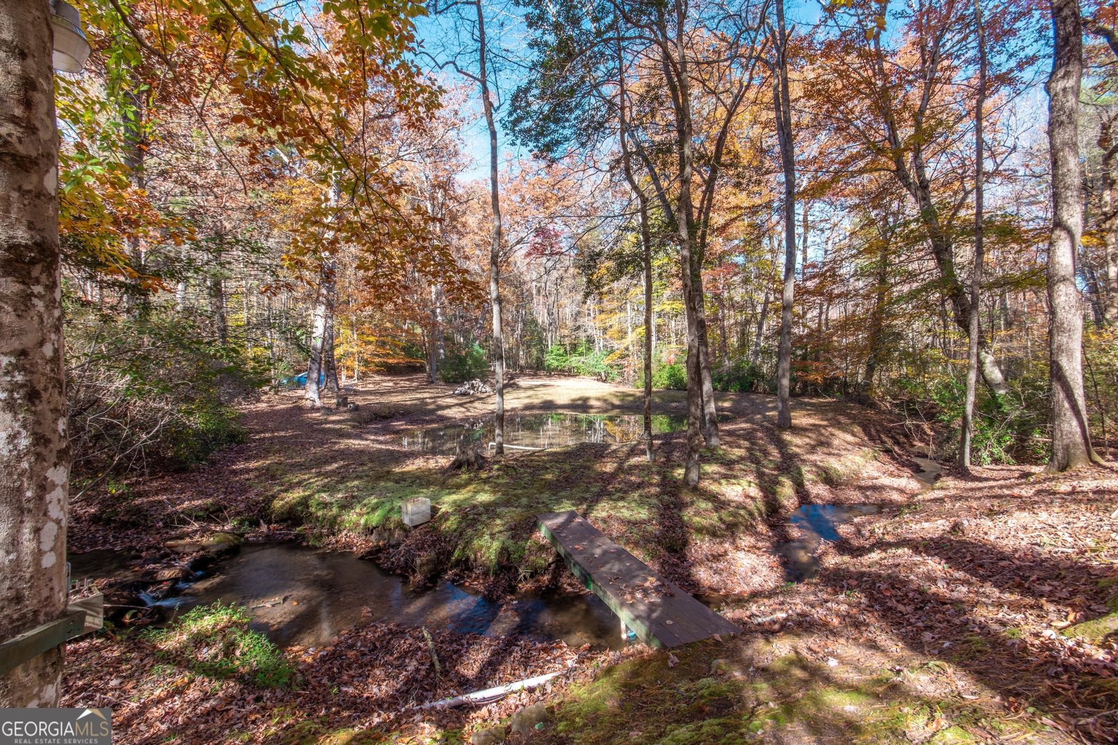 339 Wehunt Road Blue Ridge - 70