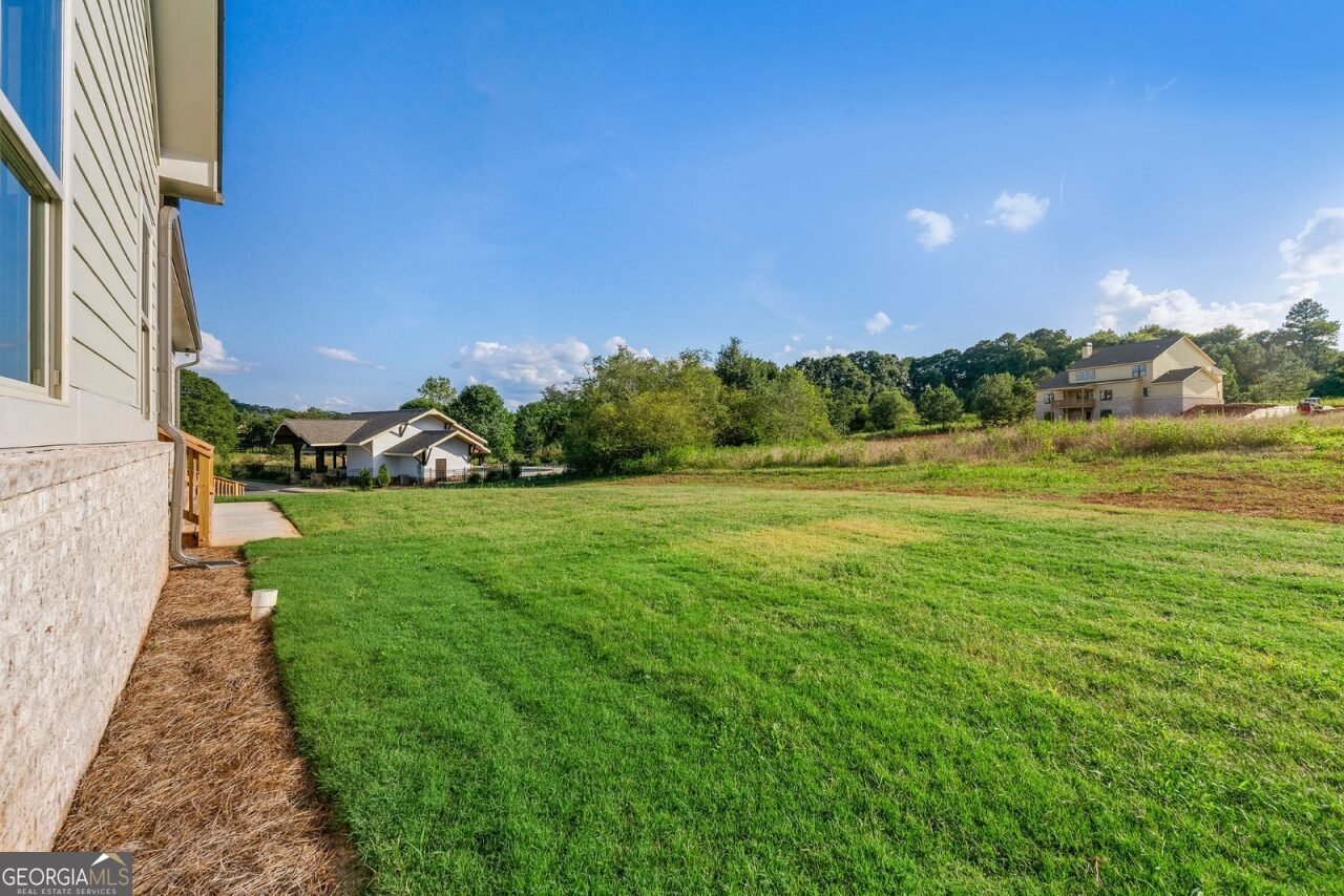 44 Palomino Circle Hoschton - 5