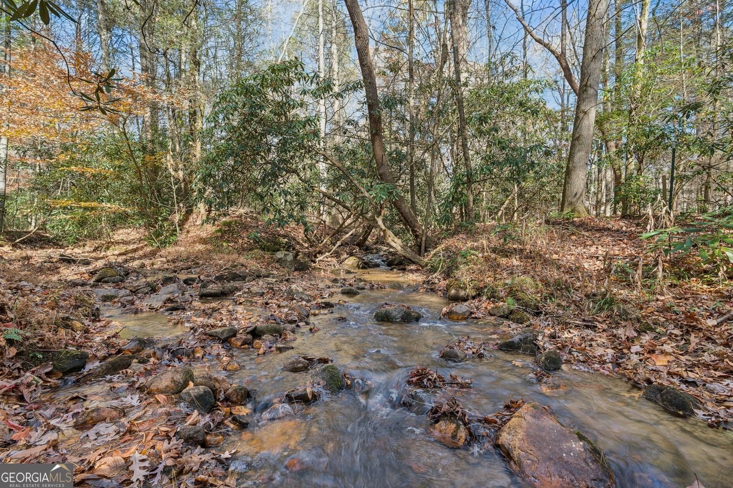 491 Old Parker Terrace Ellijay - 40