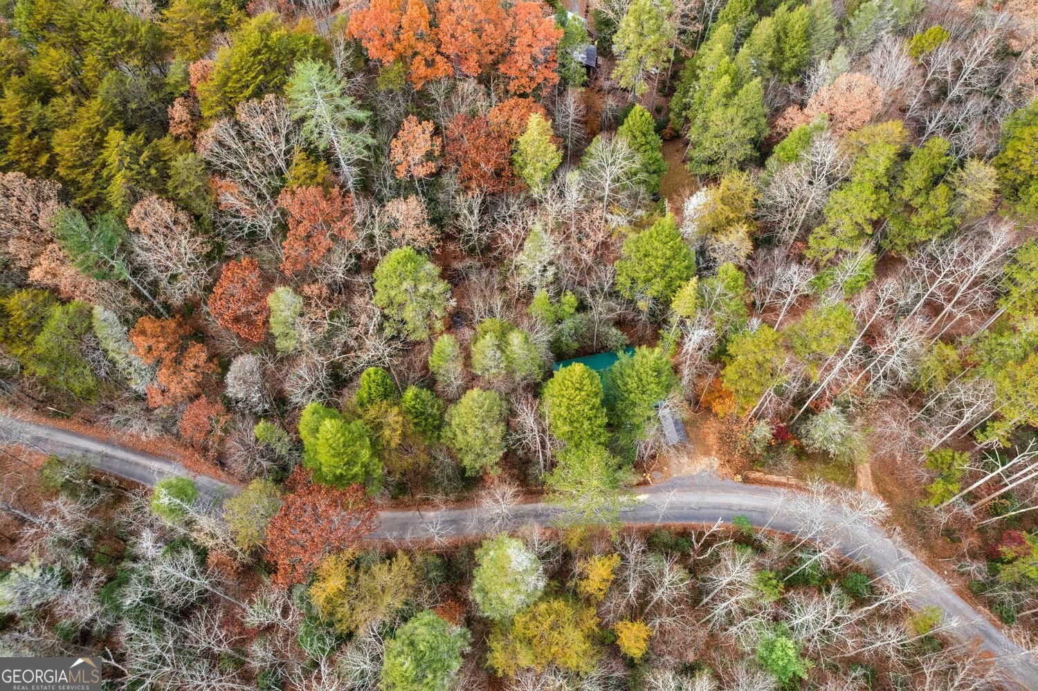 491 Old Parker Terrace Ellijay - 8