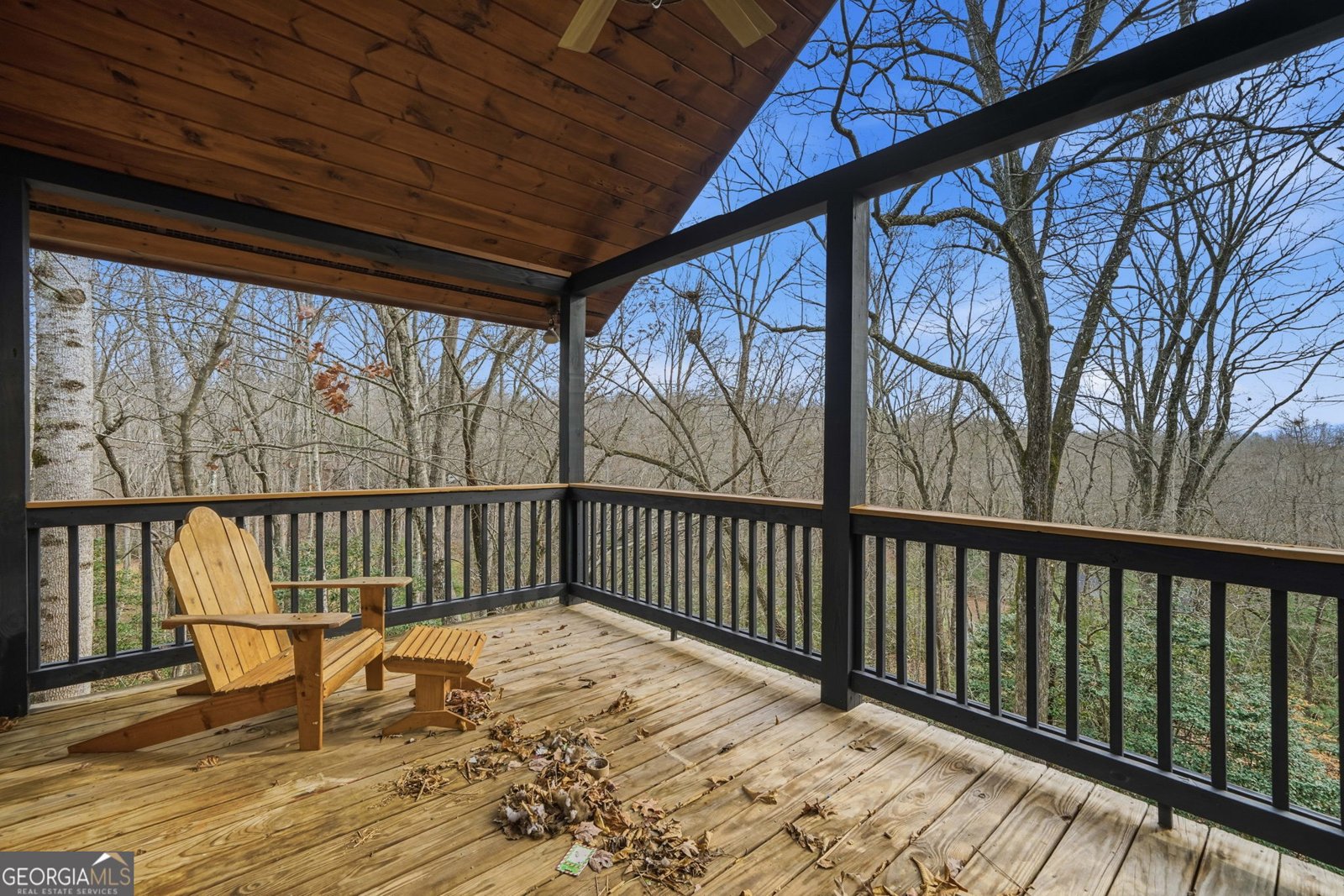 648 Stuart Mountain Road Mineral Bluff - 5