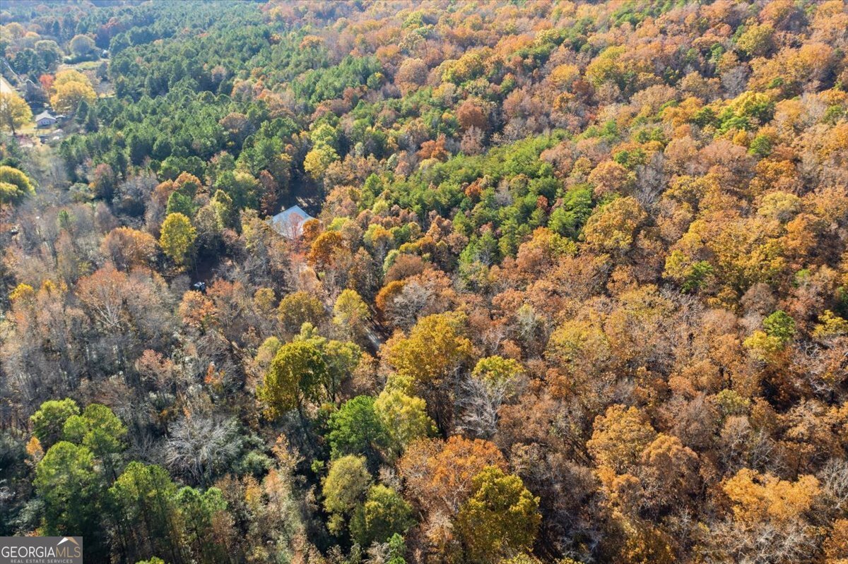 938 Marion Dairy Road Lindale - 40